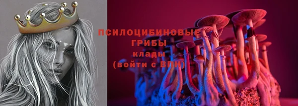 крисы Каменногорск